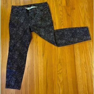 Talbots signature pants